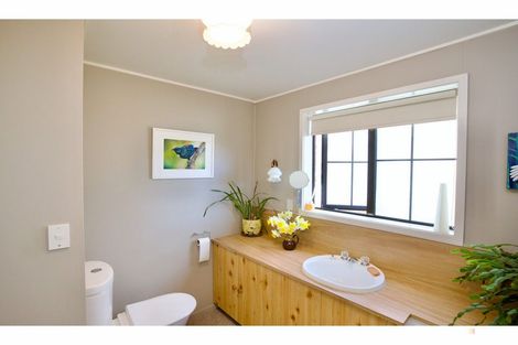 Photo of property in 9a Alloway Street, Fairlie, 7925