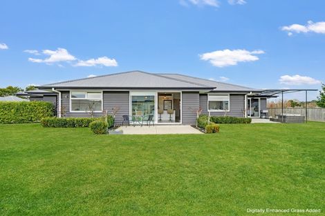 Photo of property in 30 Monarch Drive, Ashhurst, 4810