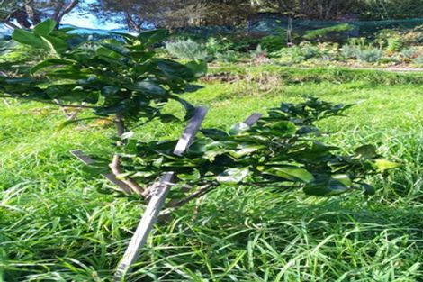 Photo of property in 190 Church Road, Kaitaia, 0482