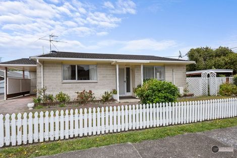 Photo of property in 1/6 Brees Street, Epuni, Lower Hutt, 5011