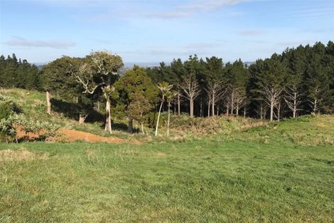 Photo of property in 167 Solway Road, Whitford, Manurewa, 2576