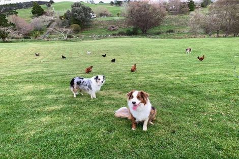 Photo of property in 124 Kanohi Road, Kaukapakapa, 0873