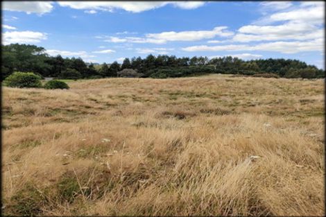 Photo of property in 333 Palmer Mill Road, Wairakei, Taupo, 3384