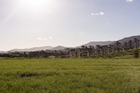 Photo of property in 55 Cullen Street, Mangawhai Heads, Mangawhai, 0505