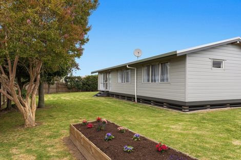 Photo of property in 49 Rata Avenue, Edgecumbe, 3120