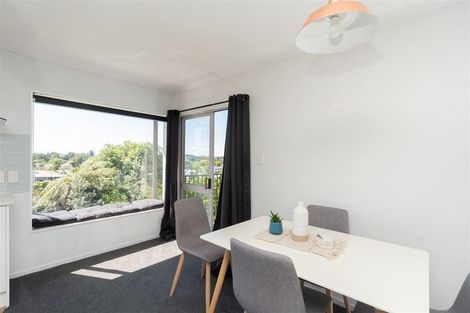 Photo of property in 15b Ridout Street, Maeroa, Hamilton, 3200