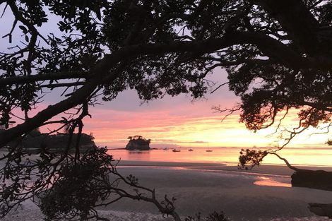 Photo of property in 65 Hebron Road, Waiake, Auckland, 0630