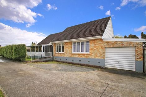 Photo of property in 55 Moorhouse Street, Morrinsville, 3300