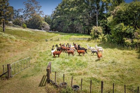 Photo of property in 1414 Pohuehue Road, Warkworth, 0983