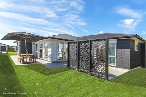 Photo of property in 53 Awataha Crescent, Pyes Pa, Tauranga, 3110