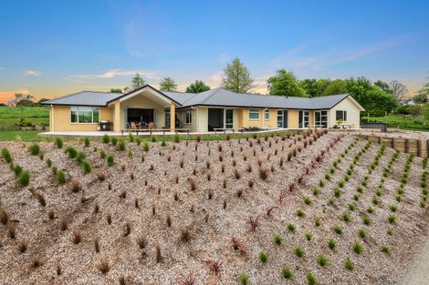 Photo of property in 920a Bond Road, Te Awamutu, 3879