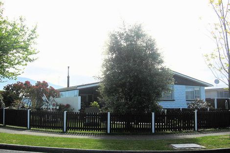 Photo of property in 38 Leefield Street, Blenheim, 7201