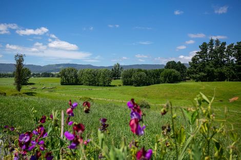 Photo of property in 26a Brown Road, Te Poi, Tirau, 3485