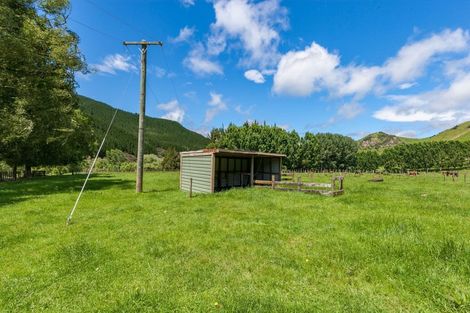 Photo of property in 1038 Oio Road, Owhango, 3990