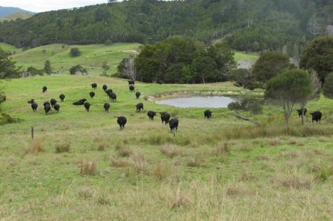 Photo of property in 2821 State Highway 1, Umawera, Okaihau, 0476