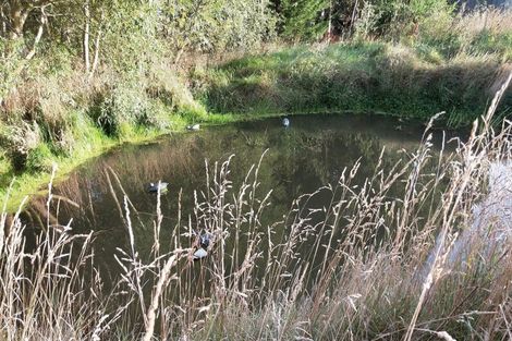 Photo of property in 13 Edievale Road, Edievale, Tapanui, 9587