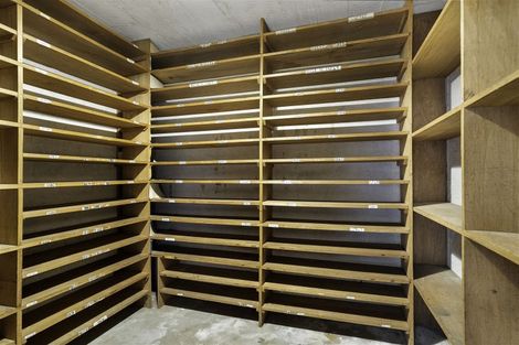 Photo of property in 24 Jellicoe Street, Martinborough, 5711