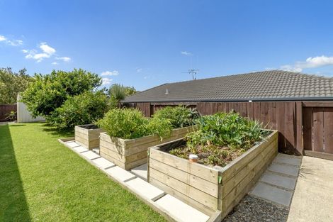 Photo of property in 10 Emmerdale Place, Ohauiti, Tauranga, 3112