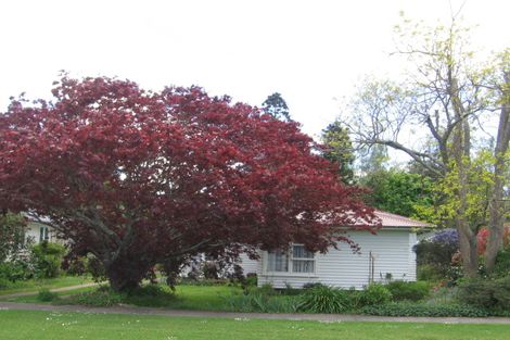 Photo of property in 18 Fitzgerald Avenue, Matamata, 3400
