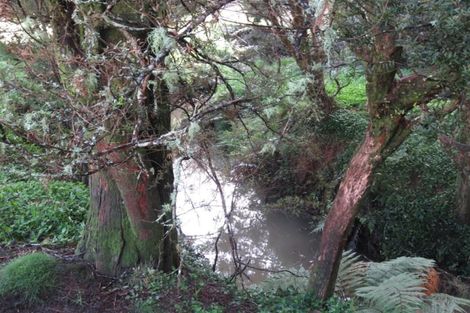 Photo of property in 84 Rigden Road, Opua, 0272