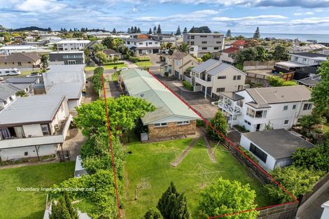 Photo of property in 22 Terrace Avenue, Mount Maunganui, 3116