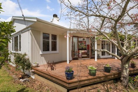 Photo of property in 103 Alfred Street, Thames, 3500