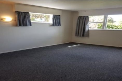 Photo of property in 22 Highbury Crescent, Highbury, Wellington, 6012