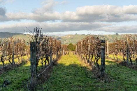 Photo of property in 20 Dakins Road, East Taratahi, Carterton, 5887