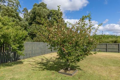 Photo of property in 17 Leather Street, Huntly, 3700