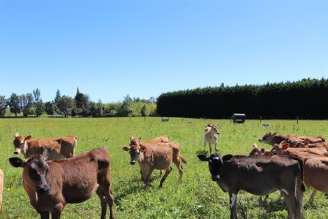 Photo of property in 120 Patons Rock Road, Patons Rock, Takaka, 7182