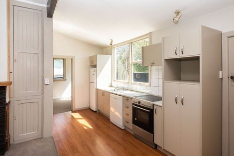 Photo of property in 19 Newcastle Street, Phillipstown, Christchurch, 8011