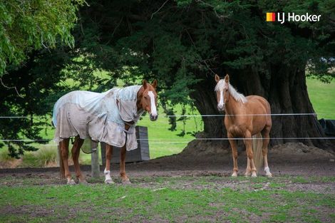 Photo of property in 16 Woodside Road, Woodside, Outram, 9073