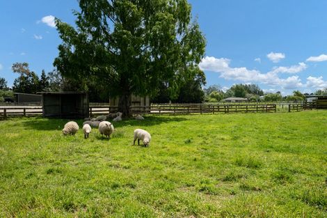 Photo of property in 67 Peake Road, Cambridge, 3493