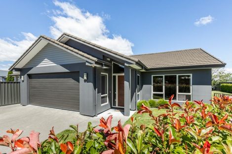 Photo of property in 7 Karoola Place, Havelock North, 4130
