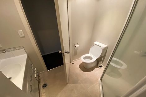 Photo of property in 223c Peachgrove Road, Claudelands, Hamilton, 3214