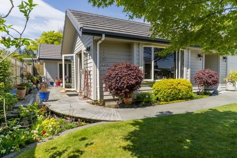 Photo of property in 6 Crosby Street, Havelock North, 4130