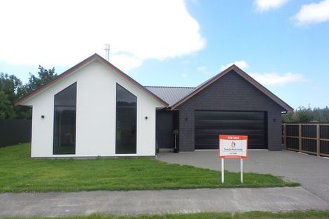 Photo of property in 8 Grant Street, Temuka, 7920