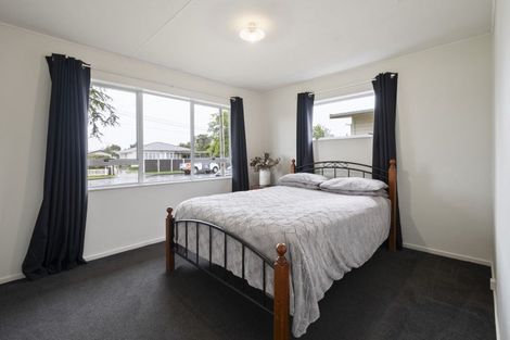 Photo of property in 17 Tingey Avenue, Feilding, 4702