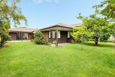 Photo of property in 3 Winchester Terrace, Bethlehem, Tauranga, 3110