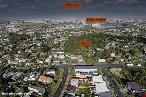 Photo of property in 77 Calluna Crescent, Totara Heights, Auckland, 2105