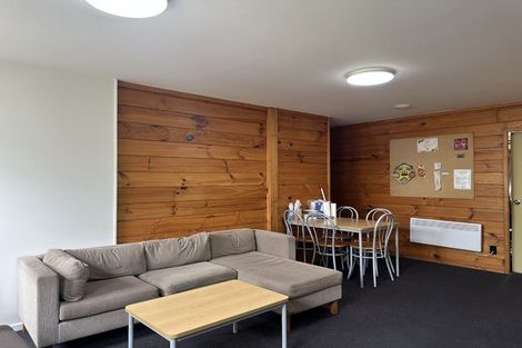 Photo of property in Drummond Street Flats, 19/19 Drummond Street, Mount Cook, Wellington, 6021