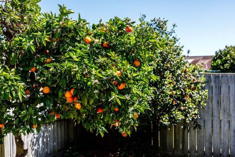 Photo of property in 8b Martin Place, Whakatane, 3120