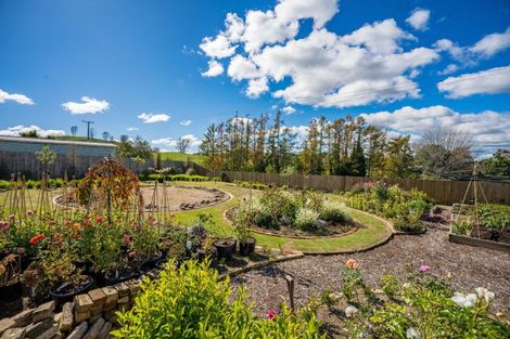 Photo of property in 41 Maire Street, Wairakei, Taupo, 3332