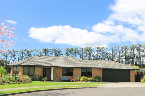 Photo of property in 19 Corwen Avenue, Hairini, Tauranga, 3112