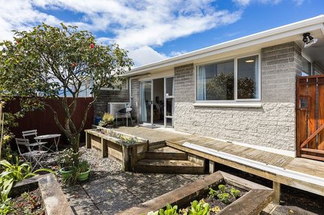 Photo of property in 25b Prince Albert Road, Saint Kilda, Dunedin, 9012