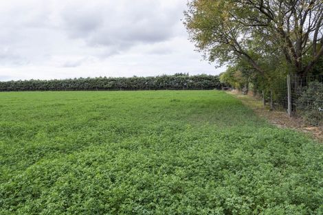 Photo of property in 22 Levels Plain Road, Levels, Timaru, 7975