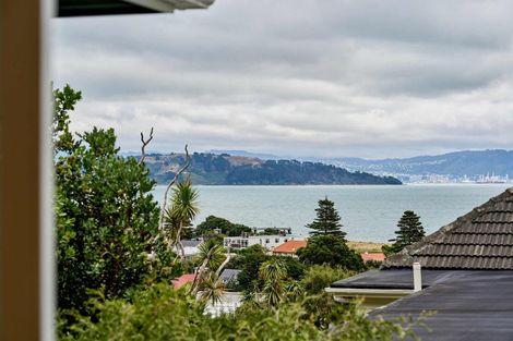 Photo of property in 28 Totara Street, Eastbourne, Lower Hutt, 5013