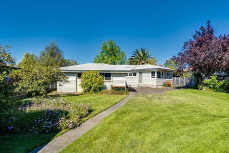 Photo of property in 6 Osier Road, Greenmeadows, Napier, 4112