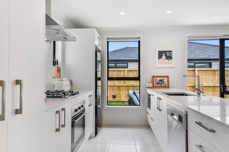 Photo of property in 53 Holland Road, Fairfield, Hamilton, 3214