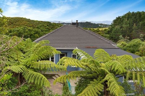 Photo of property in 47 Mccoll Street, Vogeltown, Wellington, 6021